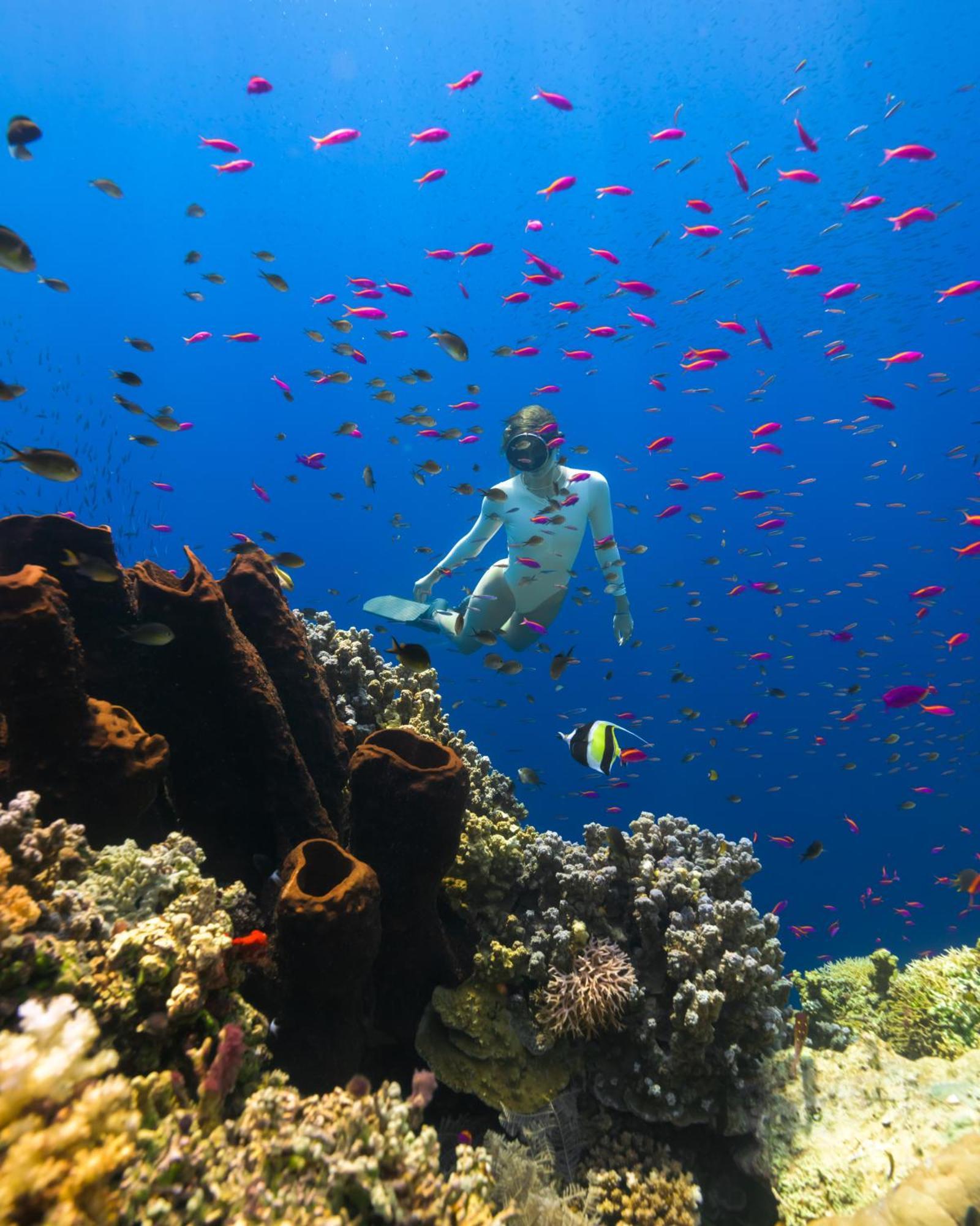 Reconnect - Private Island Resort & Dive Center Togean - Buka Buka Island Ampana Esterno foto
